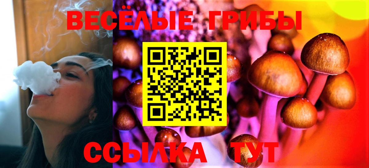 Магадан  Галлюциногенные грибы GOLDEN TEACHER  Вход с VPN 